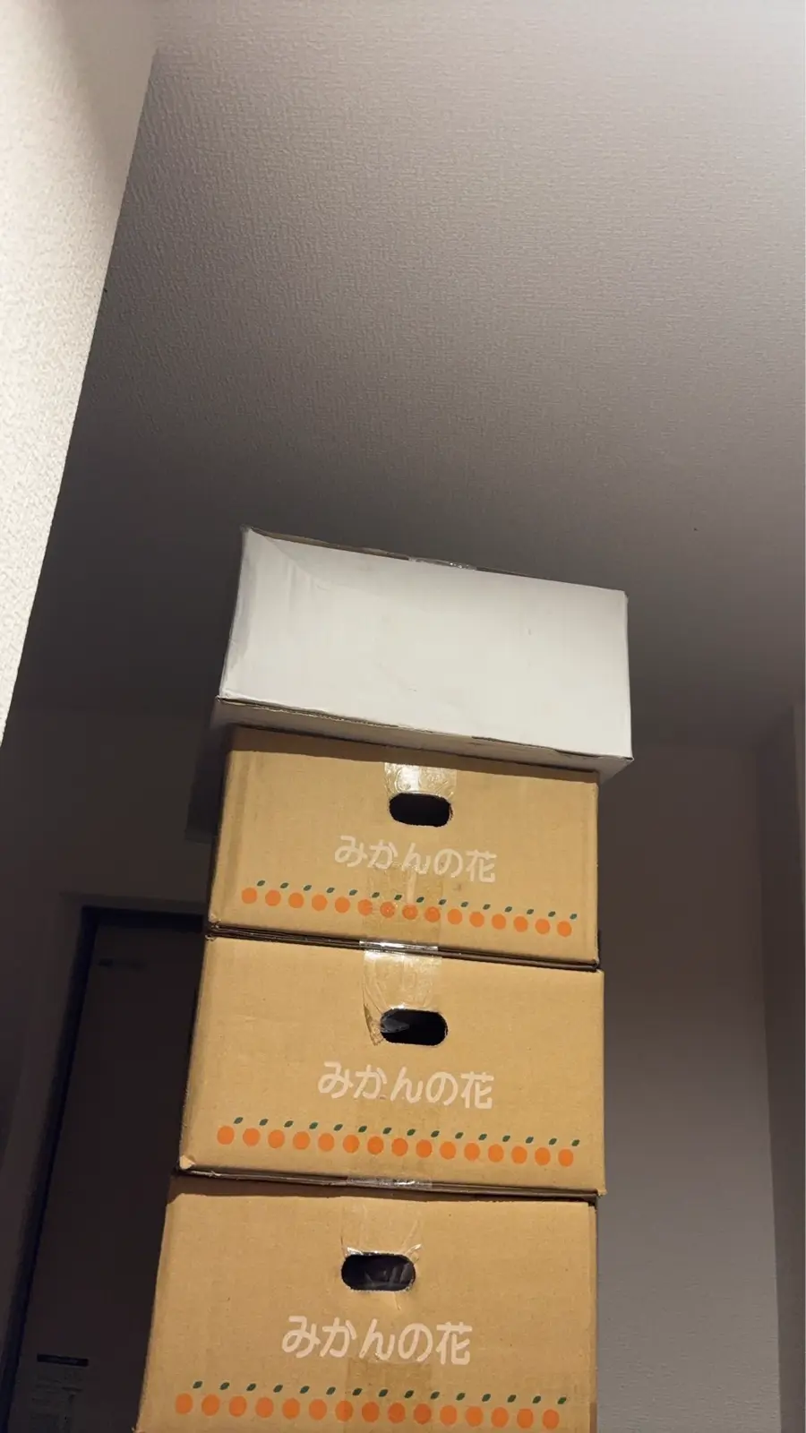 届いて積んである段ボール箱